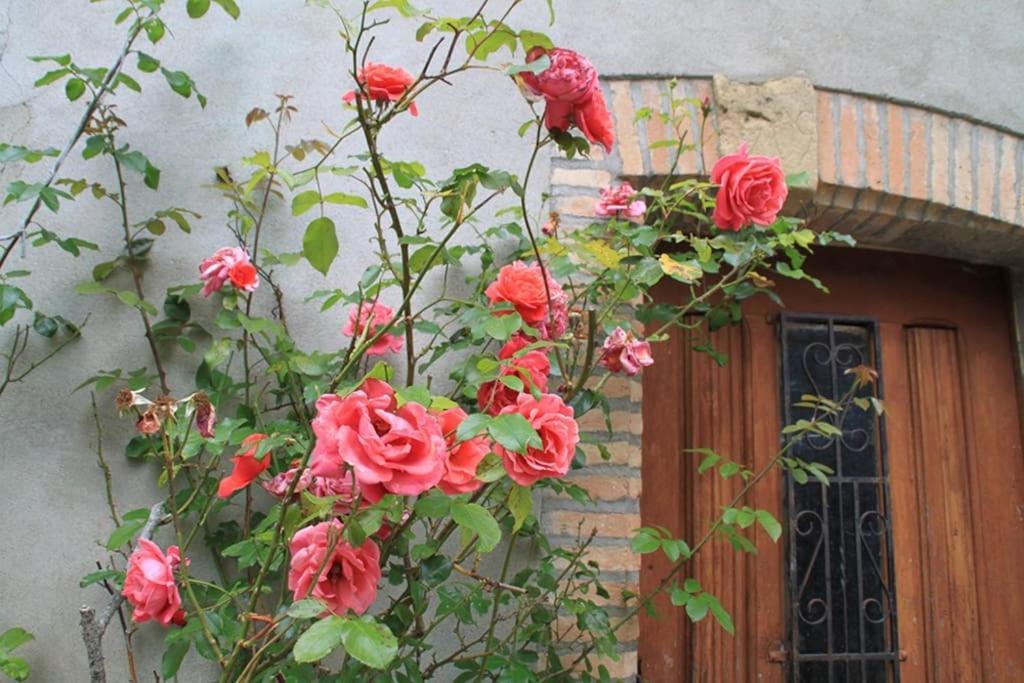 La Maison De Berthe - Havre De Paix Dans La Campagne - Entierement Renovee Et Equipee Hébergement de vacances Montmaur (Aude)